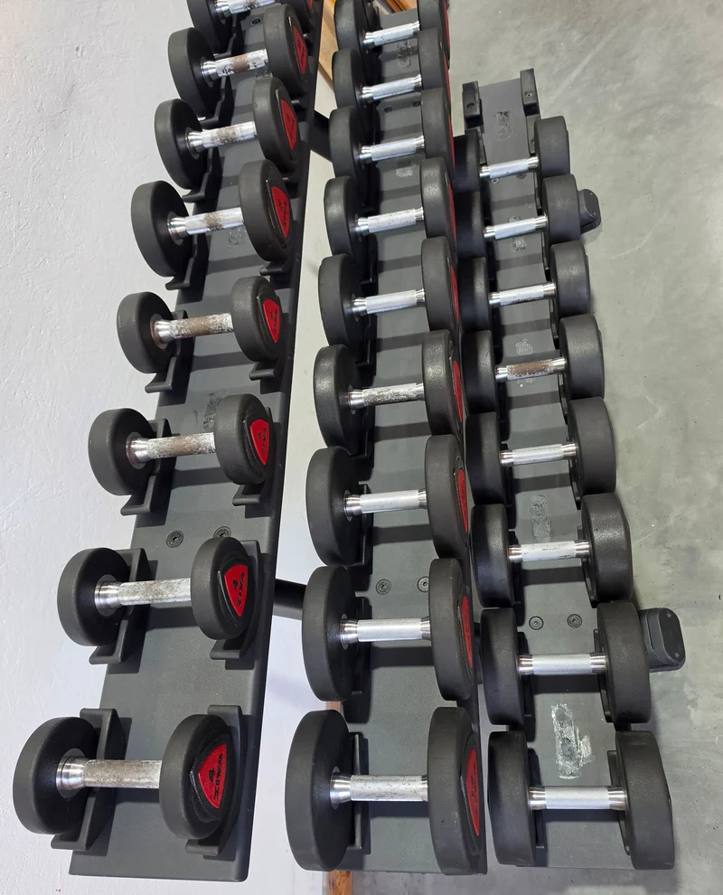 Ziva Kurzhantelsatz aus Urethane 4 bis 30kg in 2kg Stufen ( 14 Paare ) Material ähnlich Gummi bzw PU Polyurethane, INKLUSIVE Precor Kurzhantelablage, gebraucht - mit Gebrauchsspuren