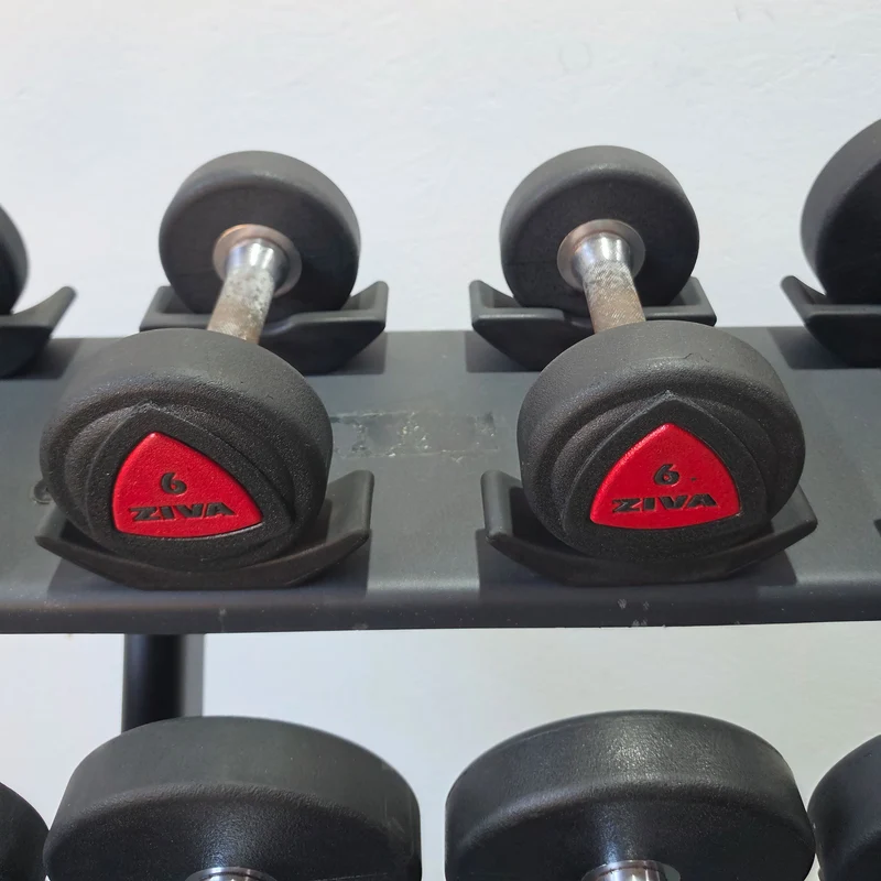 Ziva Kurzhantelsatz aus Urethane 4 bis 30kg in 2kg Stufen ( 14 Paare ) Material ähnlich Gummi bzw PU Polyurethane, INKLUSIVE Precor Kurzhantelablage, gebraucht - mit Gebrauchsspuren