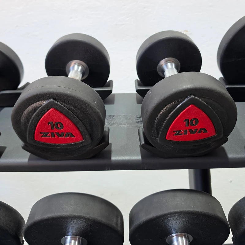Ziva Kurzhantelsatz aus Urethane 4 bis 30kg in 2kg Stufen ( 14 Paare ) Material ähnlich Gummi bzw PU Polyurethane, INKLUSIVE Precor Kurzhantelablage, gebraucht - mit Gebrauchsspuren