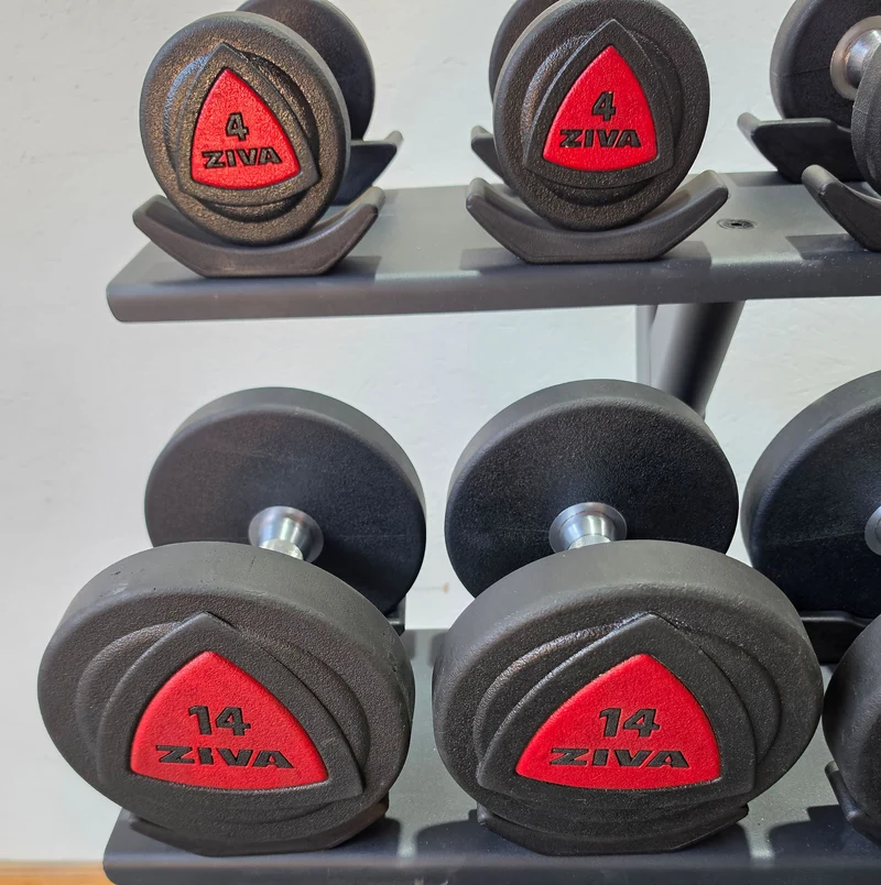 Ziva Kurzhantelsatz aus Urethane 4 bis 30kg in 2kg Stufen ( 14 Paare ) Material ähnlich Gummi bzw PU Polyurethane, INKLUSIVE Precor Kurzhantelablage, gebraucht - mit Gebrauchsspuren