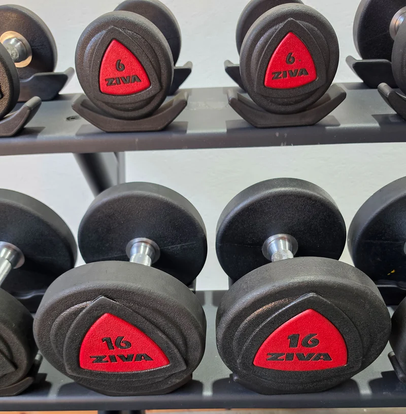 Ziva Kurzhantelsatz aus Urethane 4 bis 30kg in 2kg Stufen ( 14 Paare ) Material ähnlich Gummi bzw PU Polyurethane, INKLUSIVE Precor Kurzhantelablage, gebraucht - mit Gebrauchsspuren