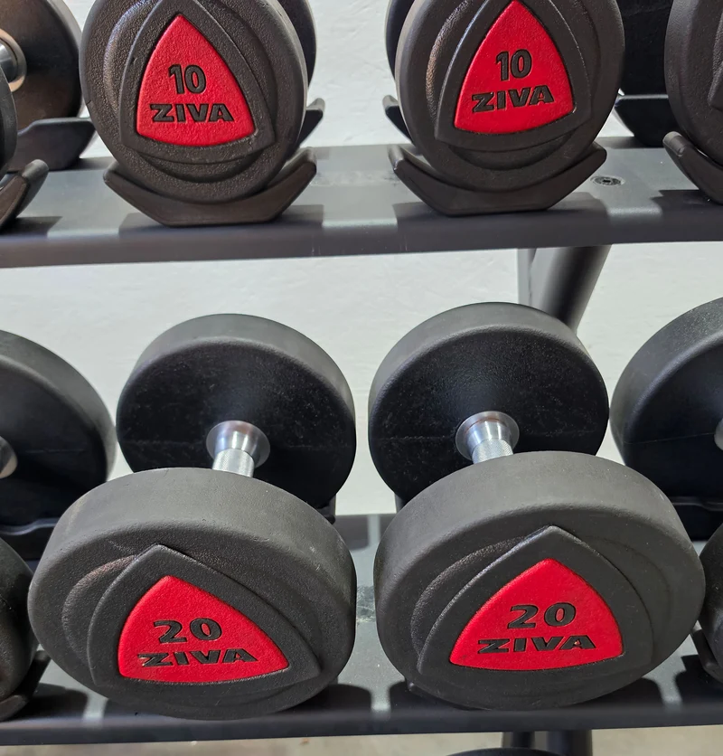 Ziva Kurzhantelsatz aus Urethane 4 bis 30kg in 2kg Stufen ( 14 Paare ) Material ähnlich Gummi bzw PU Polyurethane, INKLUSIVE Precor Kurzhantelablage, gebraucht - mit Gebrauchsspuren
