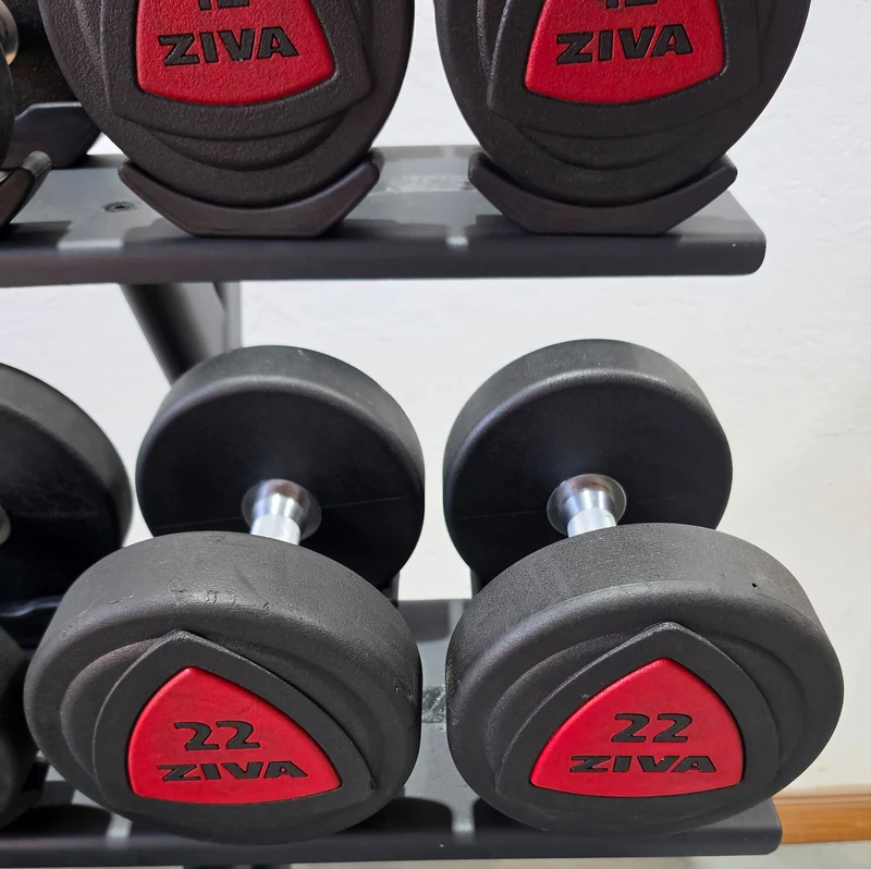 Ziva Kurzhantelsatz aus Urethane 4 bis 30kg in 2kg Stufen ( 14 Paare ) Material ähnlich Gummi bzw PU Polyurethane, INKLUSIVE Precor Kurzhantelablage, gebraucht - mit Gebrauchsspuren