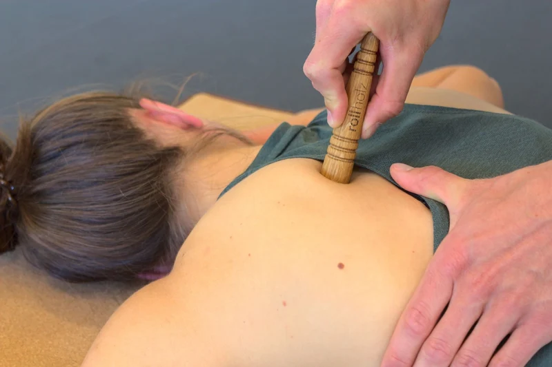 rollholz Triggerstift