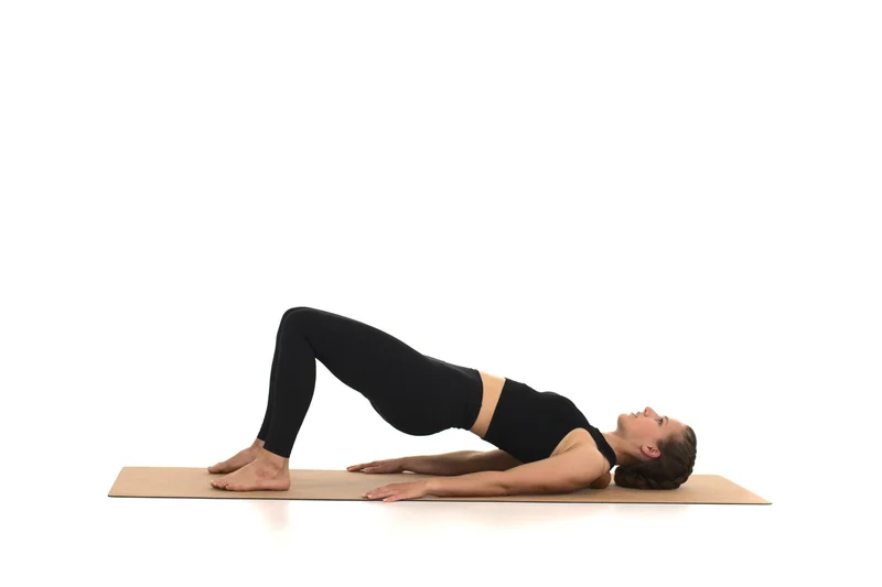 rollholz Faszientraining Set groß