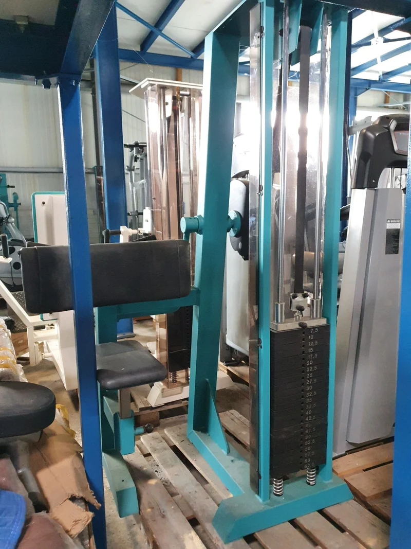 Gym80 Bizepsmaschine, Biceps Curl, Edition Line, Rahmenfarbe Türkis, gebraucht