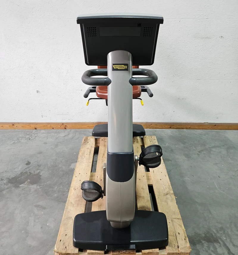 TechnoGym Recumbent Excite Line Recline 500, LED Display, verstellbare Pedalarme, ohne Handpuls, Polster Rot-Braun, gebraucht - überholter Zustand