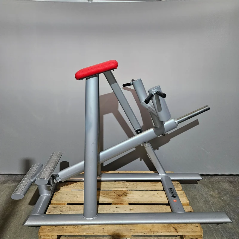 Teuwsen T-Bar Row Ruderstation mit Bruststütze. Ähnlich Gym80 oder L+K, Plate loaded Kraftgerät Rudern, Rahmen Silber, gebraucht - geprüfter Zustand
