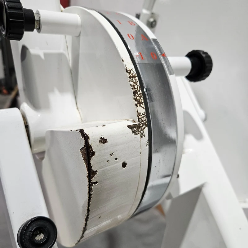 Pulse bzw Pulsestar Rückenstreckermaschine, Back Extension, Lower Back, Hyperextension, Rahmenfarbe Weiß, gebraucht - geprüfter Zustand mit optischen Gebrauchsspuren