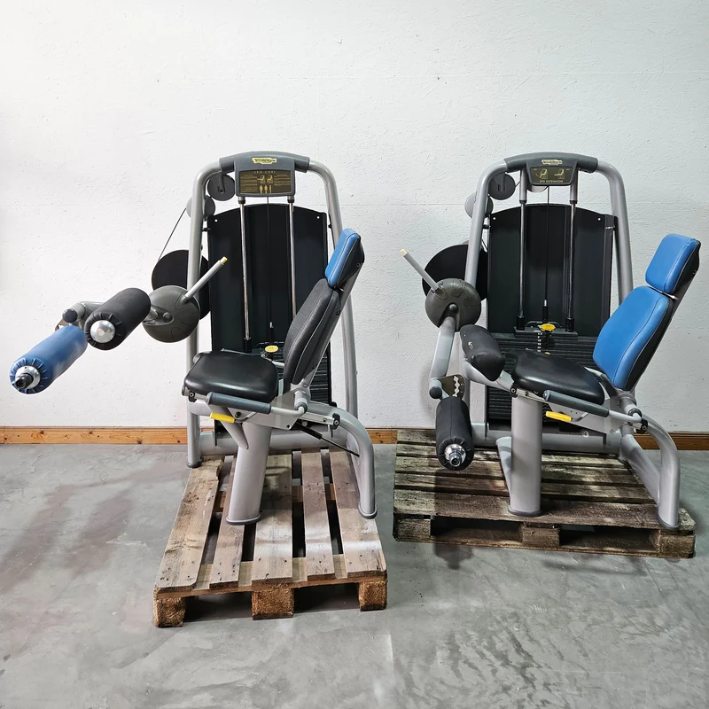 Technogym 2er Set = Beinstrecker und Beinbeuger, Leg Extension and Leg Curl Set, Selection Line, Rahmenfarbe Silber, gebraucht - überholter Zustand