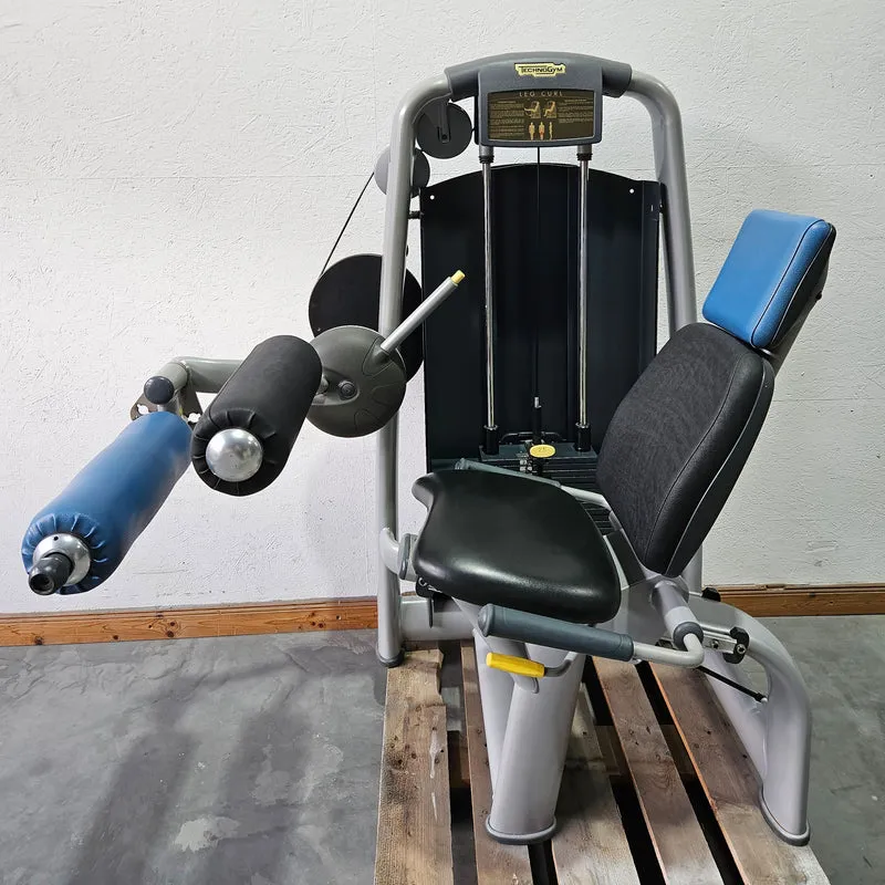 Technogym 2er Set = Beinstrecker und Beinbeuger, Leg Extension and Leg Curl Set, Selection Line, Rahmenfarbe Silber, gebraucht - überholter Zustand