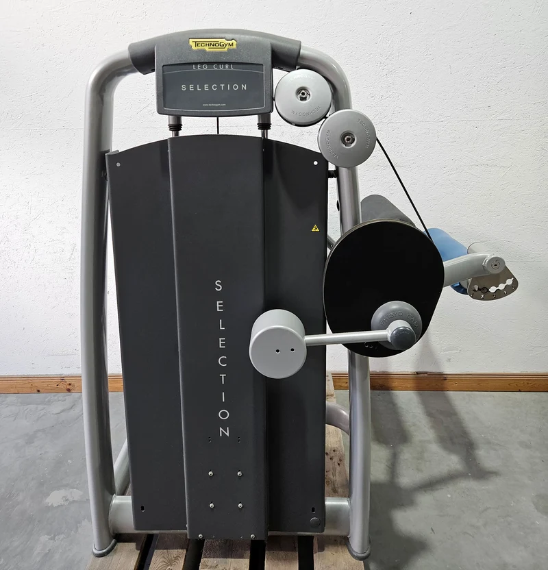 Technogym 2er Set = Beinstrecker und Beinbeuger, Leg Extension and Leg Curl Set, Selection Line, Rahmenfarbe Silber, gebraucht - überholter Zustand