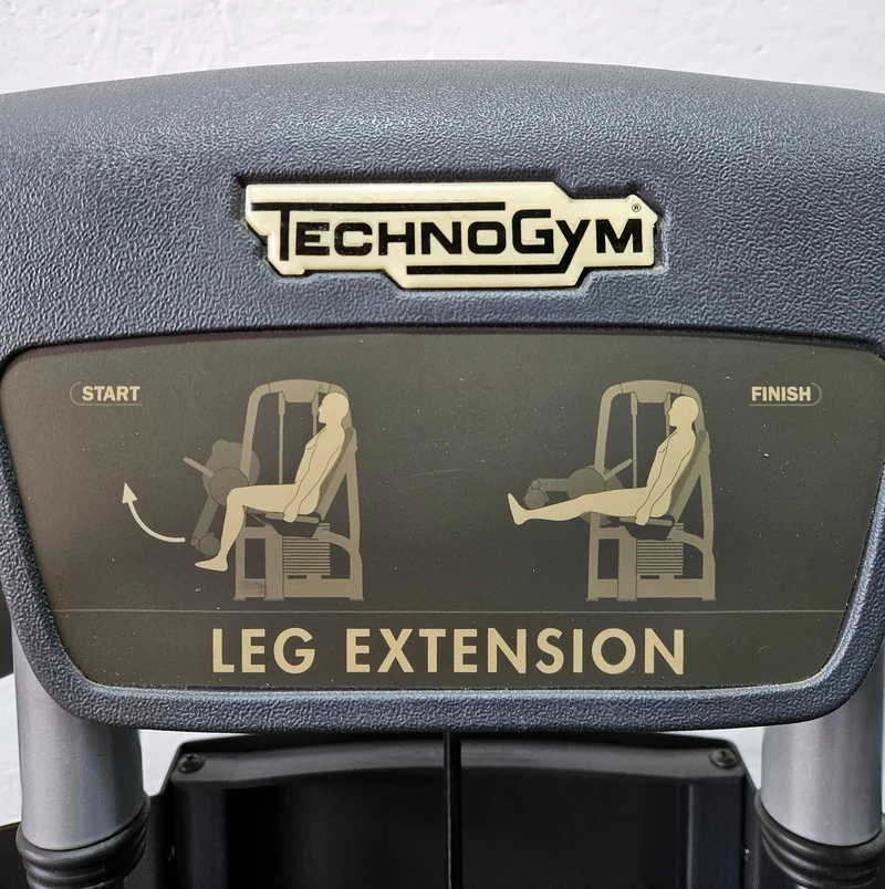 Technogym 2er Set = Beinstrecker und Beinbeuger, Leg Extension and Leg Curl Set, Selection Line, Rahmenfarbe Silber, gebraucht - überholter Zustand