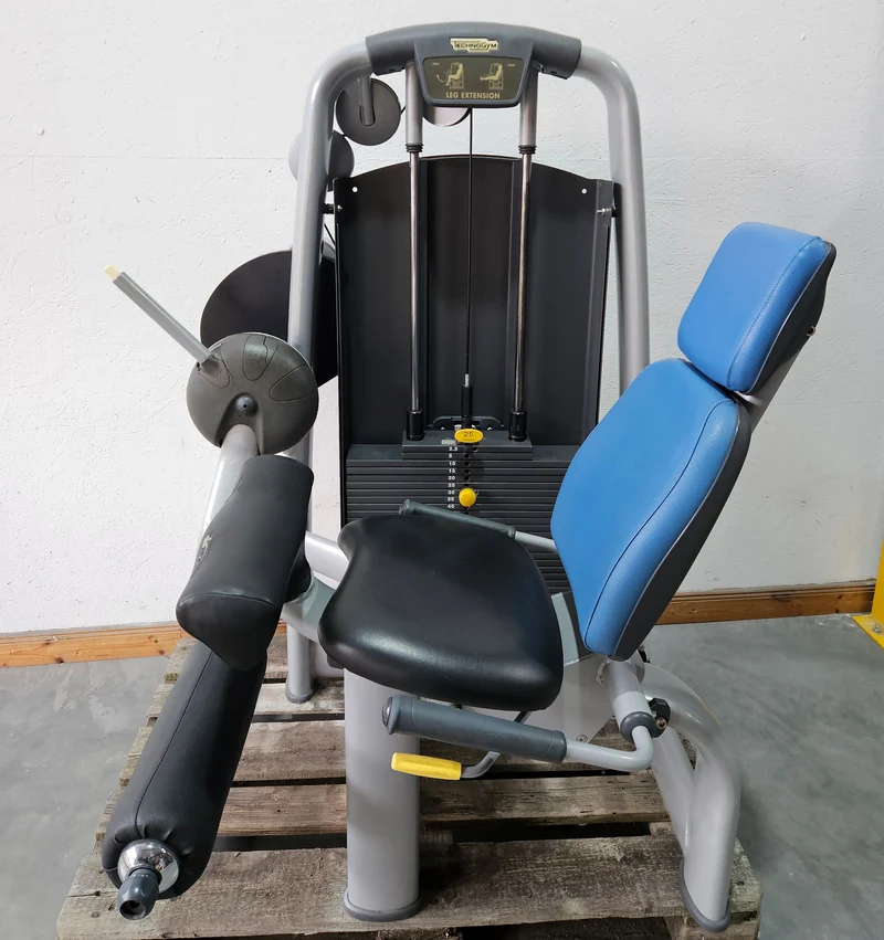 Technogym 2er Set = Beinstrecker und Beinbeuger, Leg Extension and Leg Curl Set, Selection Line, Rahmenfarbe Silber, gebraucht - überholter Zustand