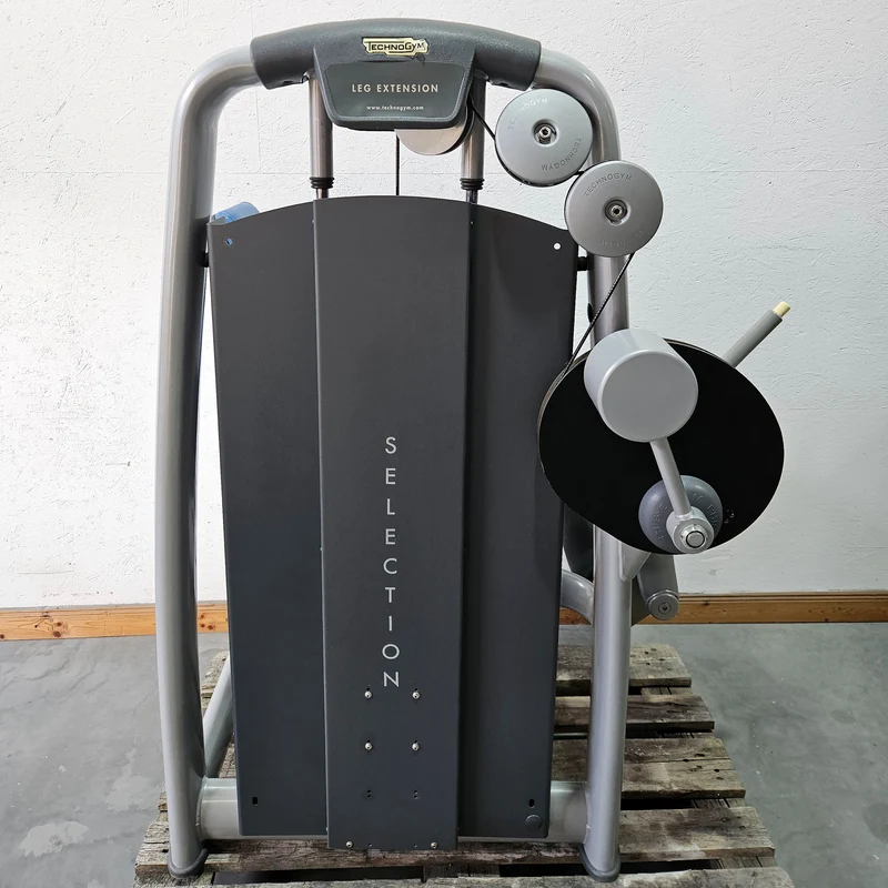 Technogym 2er Set = Beinstrecker und Beinbeuger, Leg Extension and Leg Curl Set, Selection Line, Rahmenfarbe Silber, gebraucht - überholter Zustand