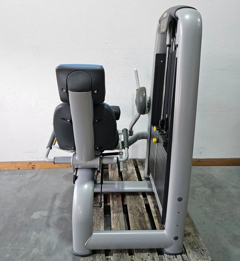 Technogym 2er Set = Beinstrecker und Beinbeuger, Leg Extension and Leg Curl Set, Selection Line, Rahmenfarbe Silber, gebraucht - überholter Zustand