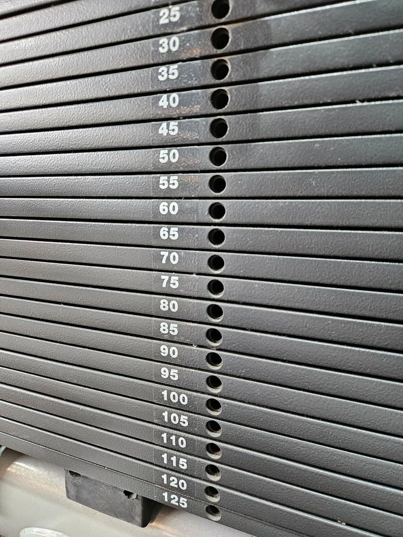 Technogym 2er Set = Beinstrecker und Beinbeuger, Leg Extension and Leg Curl Set, Selection Line, Rahmenfarbe Silber, gebraucht - überholter Zustand