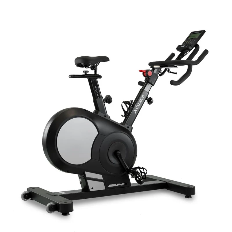 BH Fitness Indoor Cycle Xcalibur Magnetic