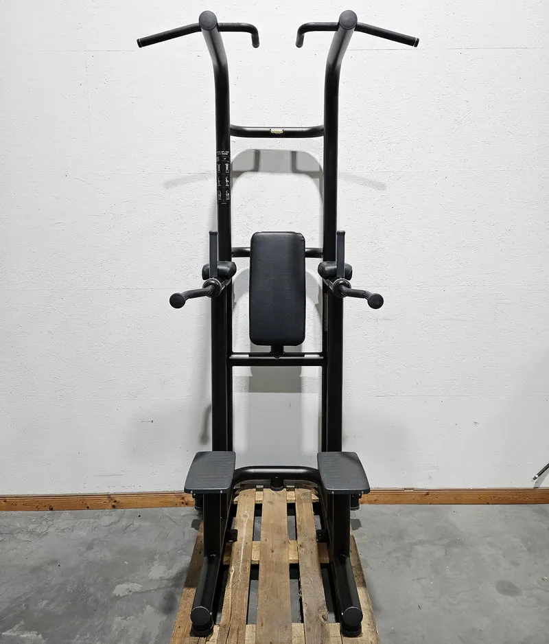 Technogym 3 in 1 Gerät, Chip Up & Dip & Leg Raise - Dips, Beinheben und Klimmzug Ständer, Rahmen Schwarz, gebraucht - überholter Zustand