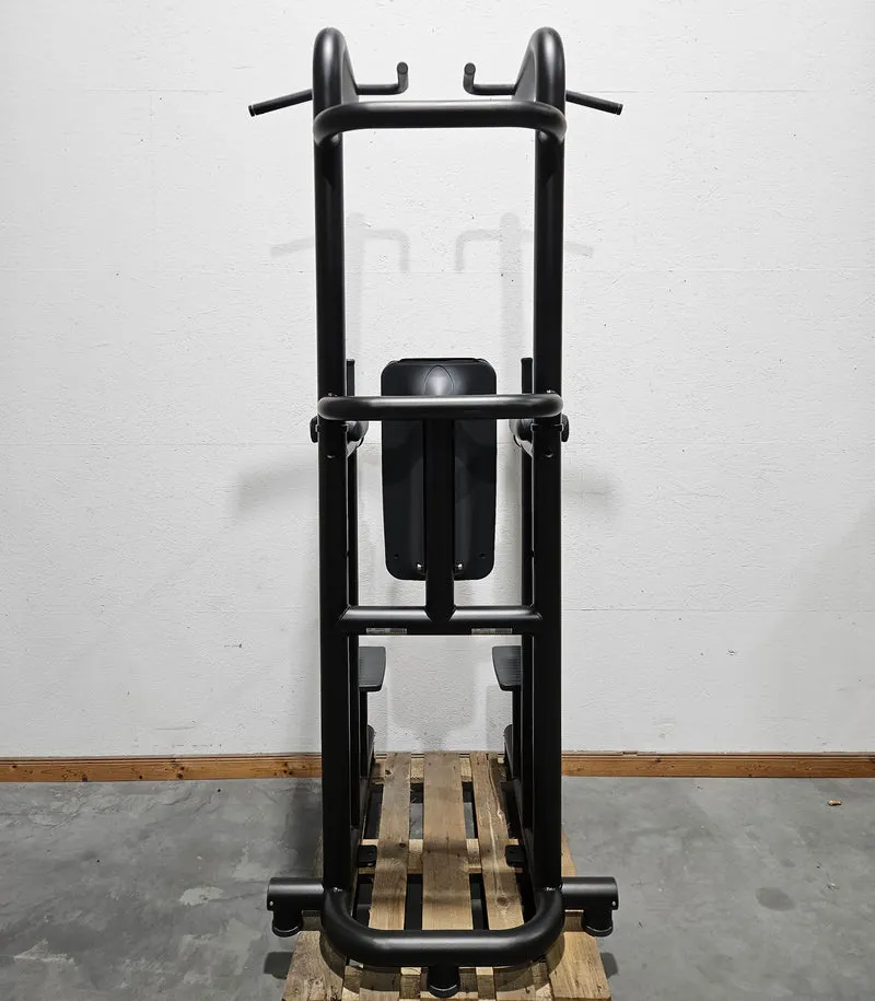Technogym 3 in 1 Gerät, Chip Up & Dip & Leg Raise - Dips, Beinheben und Klimmzug Ständer, Rahmen Schwarz, gebraucht - überholter Zustand