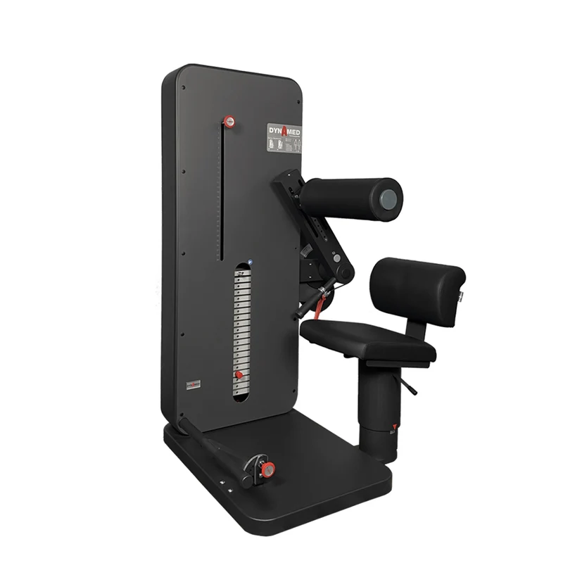 Dynamed Rücken- / Bauchtrainer, 2 in 1 Kombigerät, Stolzenberg - NEU