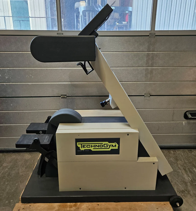 TechnoGym Steprace Stepper mit Polar, grau, gebraucht