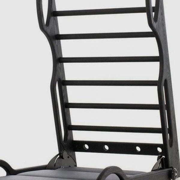 WaterRower NOHrD Elasko Shadow, Kunstleder/ Echtleder