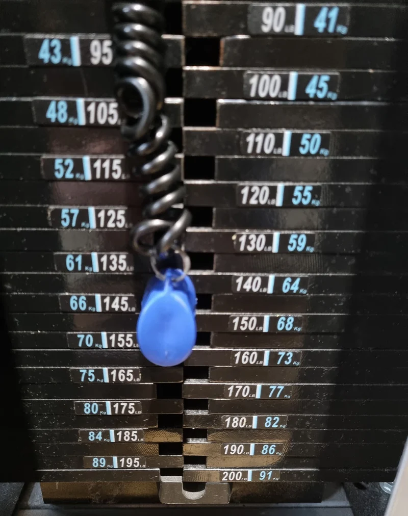 Nautilus Nitro EVO Lower Back, Rückenstreckermaschine, Hyperextension Maschine, Training für den unteren Rücken, Rahmenfarbe Silber, gebraucht - überholter Zustand