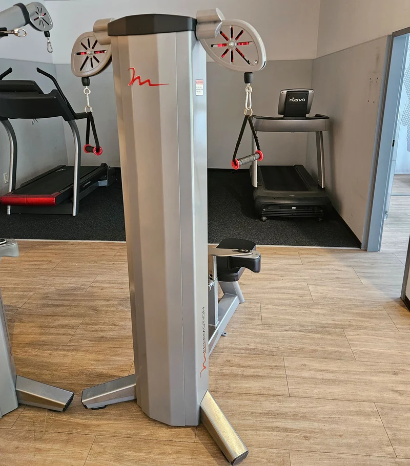 Freemotion Row G604 - Rudern am Kabel, Rudermaschine, Rücken Krafttrainingsgerät aus der Genesis Serie, Rahmenfarbe Silber, gebraucht - überholter Zustand