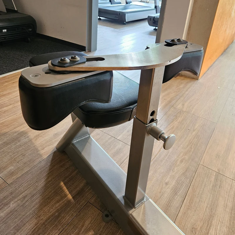 Freemotion Row G604 - Rudern am Kabel, Rudermaschine, Rücken Krafttrainingsgerät aus der Genesis Serie, Rahmenfarbe Silber, gebraucht - überholter Zustand