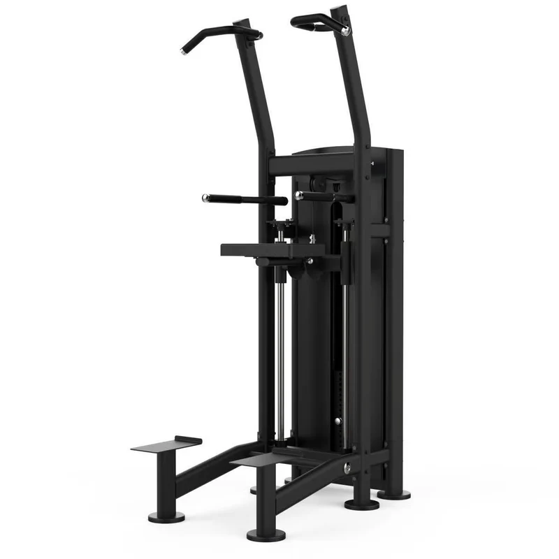 Titanium Strength Black Series Klimmzug- und Dipmaschine (stack loaded) BS-S2