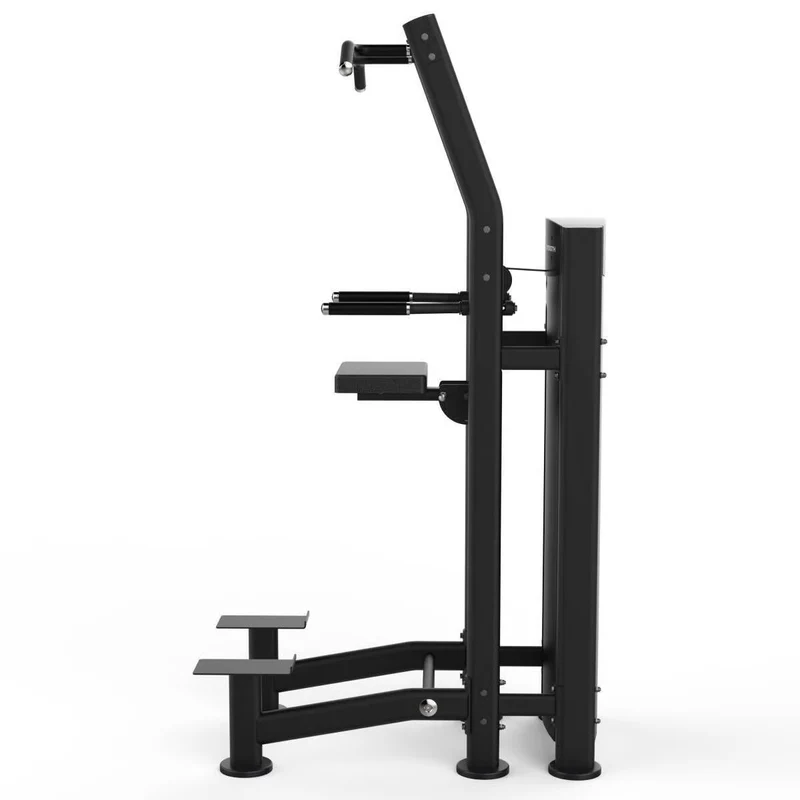 Titanium Strength Black Series Klimmzug- und Dipmaschine (stack loaded) BS-S2