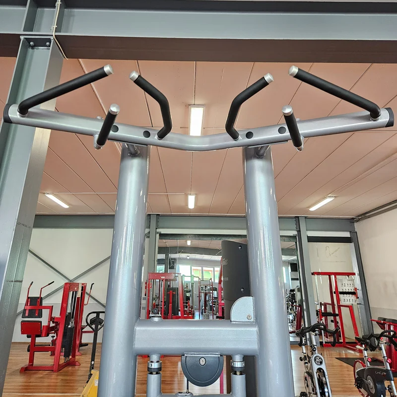 Life Fitness Dip-Klimmzugmaschine mit Gewichtsunterstützung, Dip-Chin Assisted, Signature Serie, Rahmenfarbe Silber, gebraucht - überholter Zustand