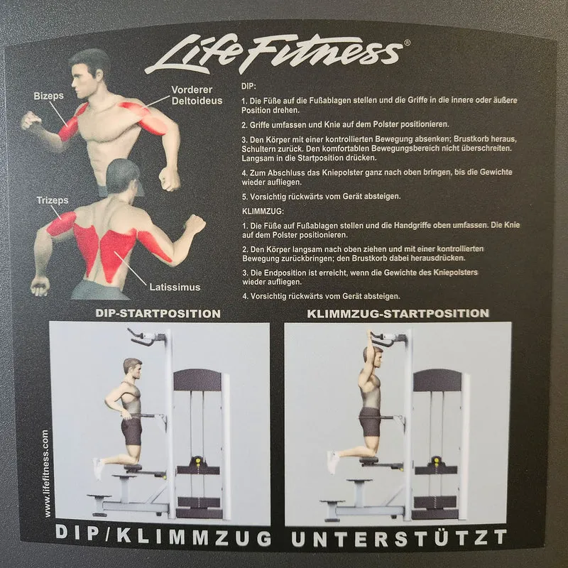 Life Fitness Dip-Klimmzugmaschine mit Gewichtsunterstützung, Dip-Chin Assisted, Signature Serie, Rahmenfarbe Silber, gebraucht - überholter Zustand