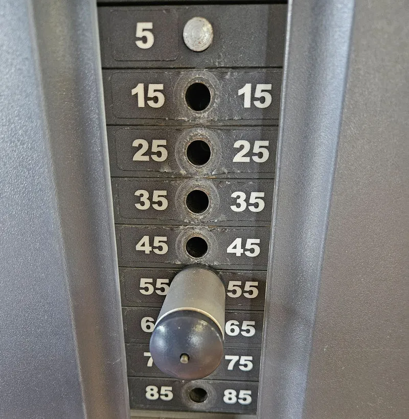 Life Fitness Dip-Klimmzugmaschine mit Gewichtsunterstützung, Dip-Chin Assisted, Signature Serie, Rahmenfarbe Silber, gebraucht - überholter Zustand