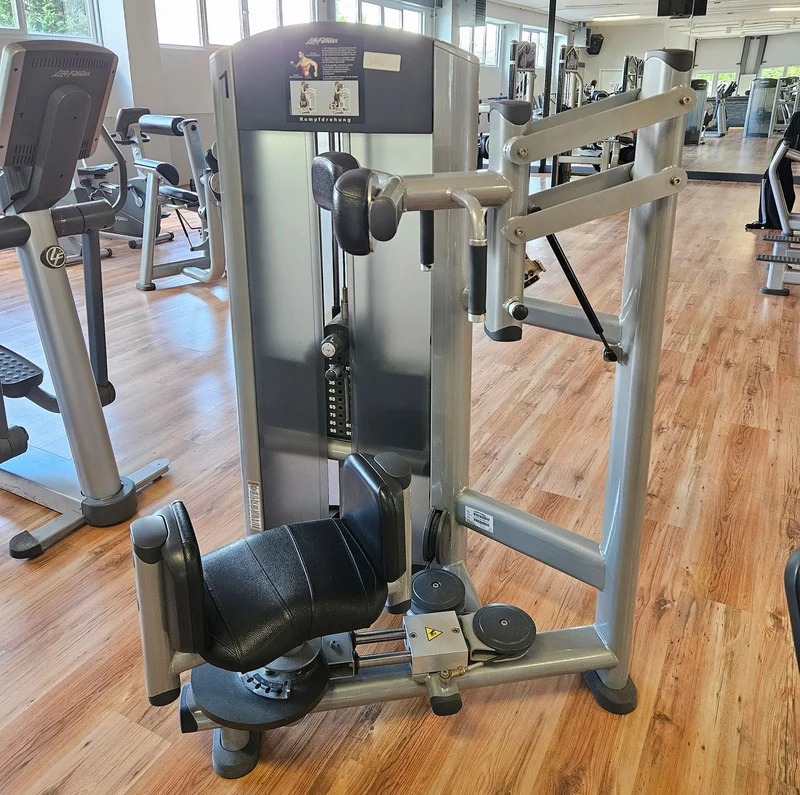 Life Fitness Rotationsmaschine, Rotary Torso Twister, Rumpfdrehung Rotator, Signature Series, Rahmenfarbe Silber, gebraucht - überholter Zustand