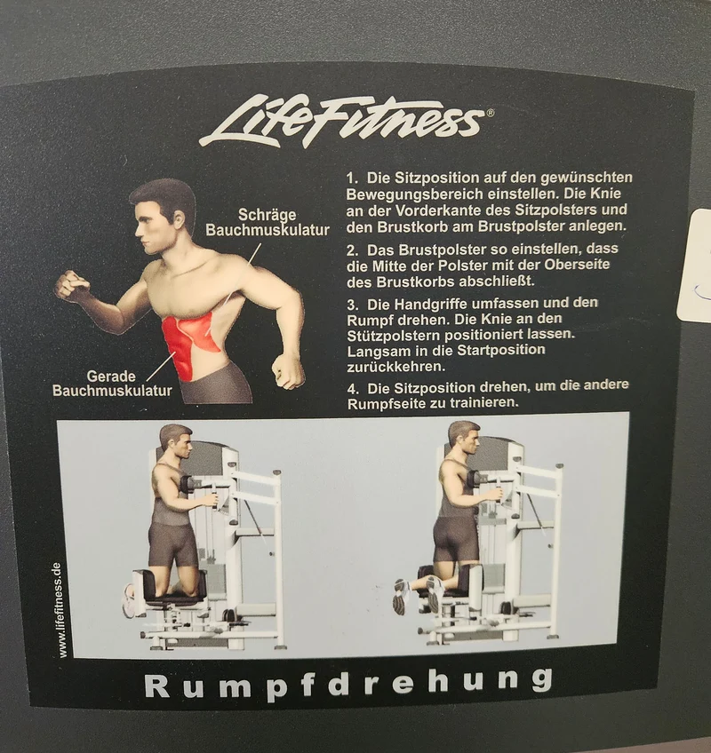 Life Fitness Rotationsmaschine, Rotary Torso Twister, Rumpfdrehung Rotator, Signature Series, Rahmenfarbe Silber, gebraucht - überholter Zustand