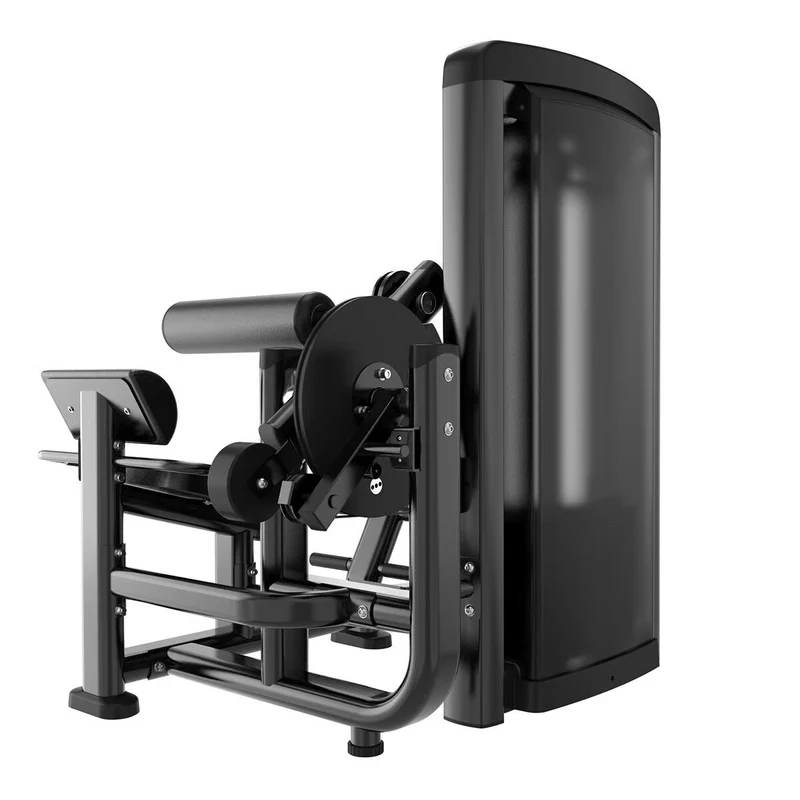 Titanium Strength Genesis Series Bauch und Rücken Maschine (stack loaded) GS-S39