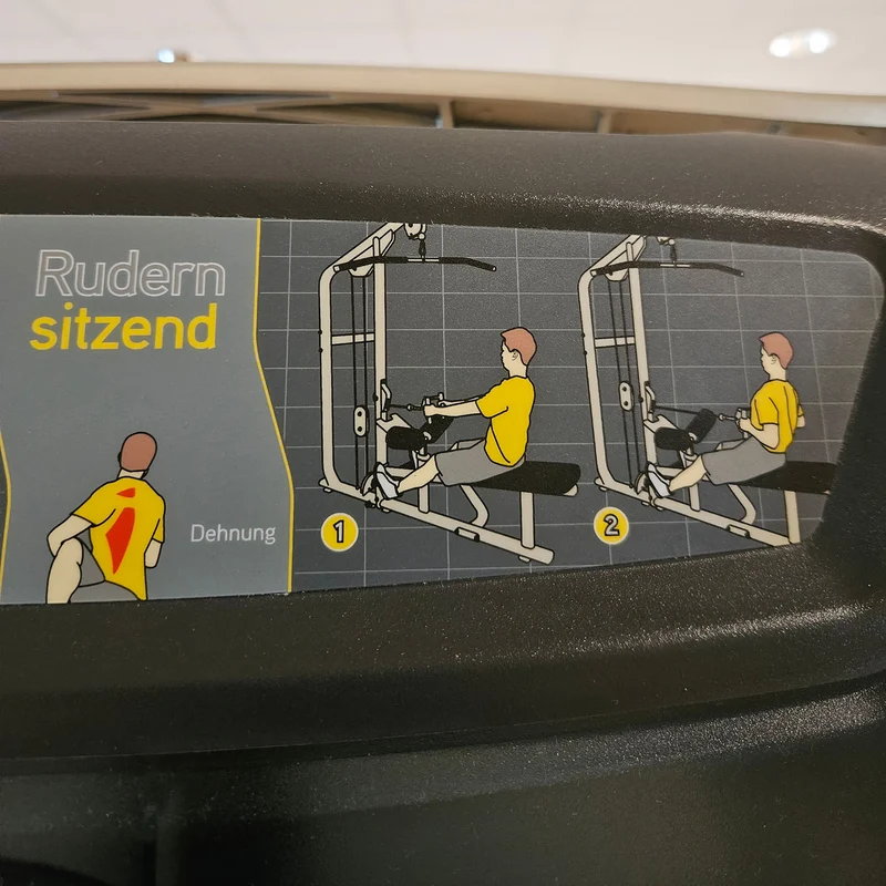 Matrix Versa Dual Latzug und Rudern sitzend VS-S331, Lat Pulldown and Row Machine, Kombimaschine 2 in 1, Rahmen Silber, gebraucht - überholter Zustand