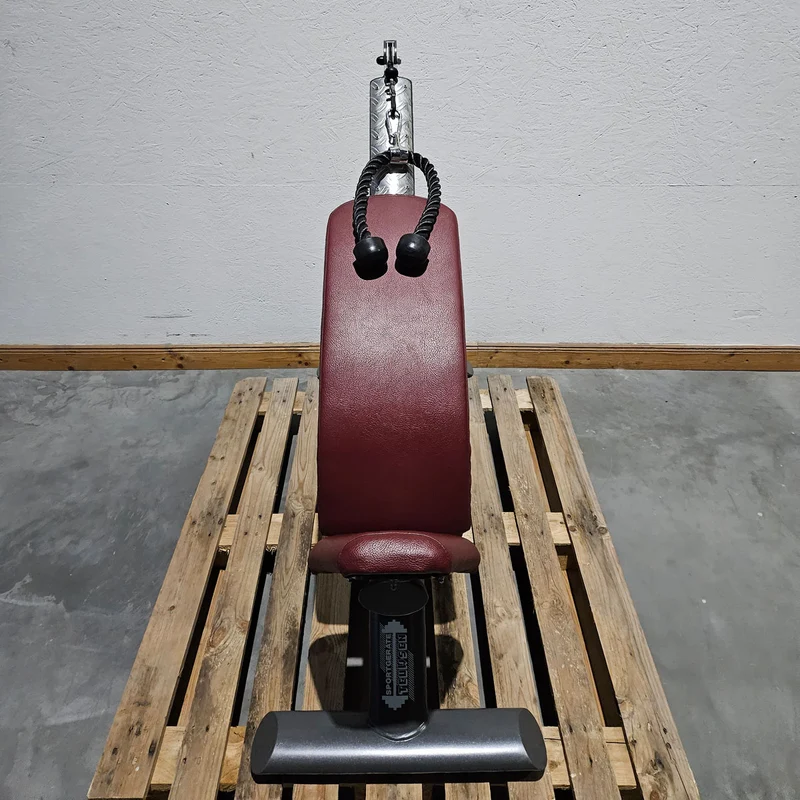Bauchmaschine Plate loaded, Bauchbank, Sit Up Ab Crunch Bench, Crunchstuhl T 500, Teuwsen Sportgerät, Rahmenfarbe Anthrazit, gebrauchter - überholter Zustand