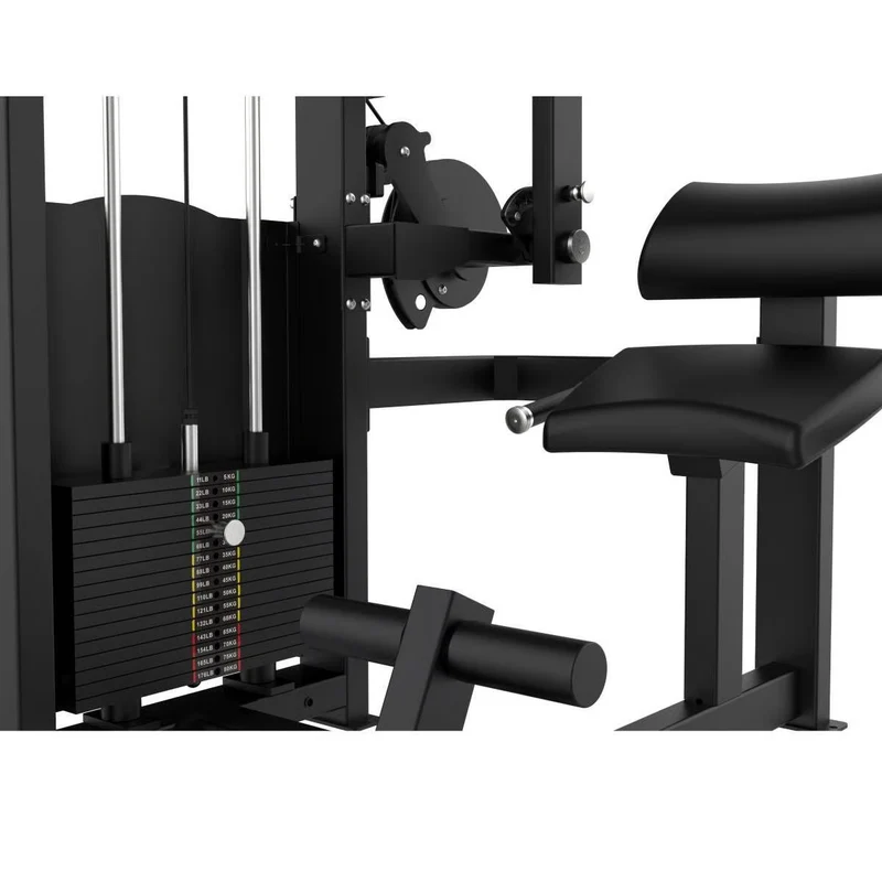 Titanium Strength Elite Series Bauchmaschine / Rückenstrecker Kombi (stack loaded) EL-S39