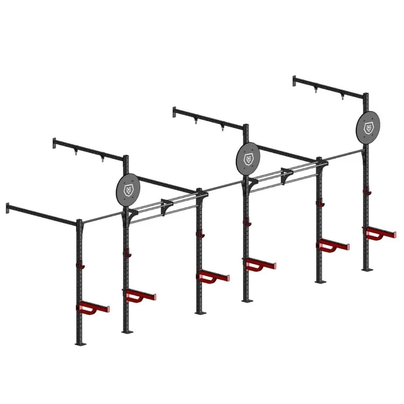 Titanium Strength Functional Wall Rig Station
