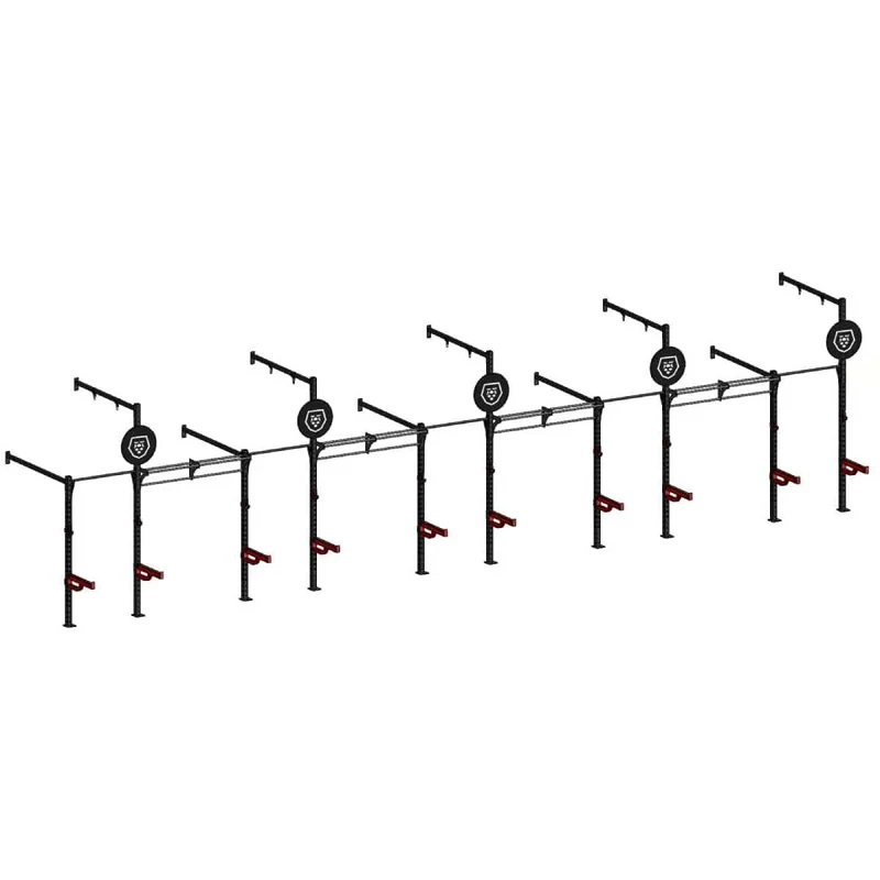 Titanium Strength Functional Wall Rig Station