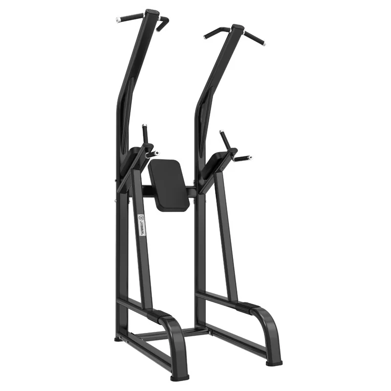 Titanium Strength Black Series Klimmzug und Dipstation BS-CDK1