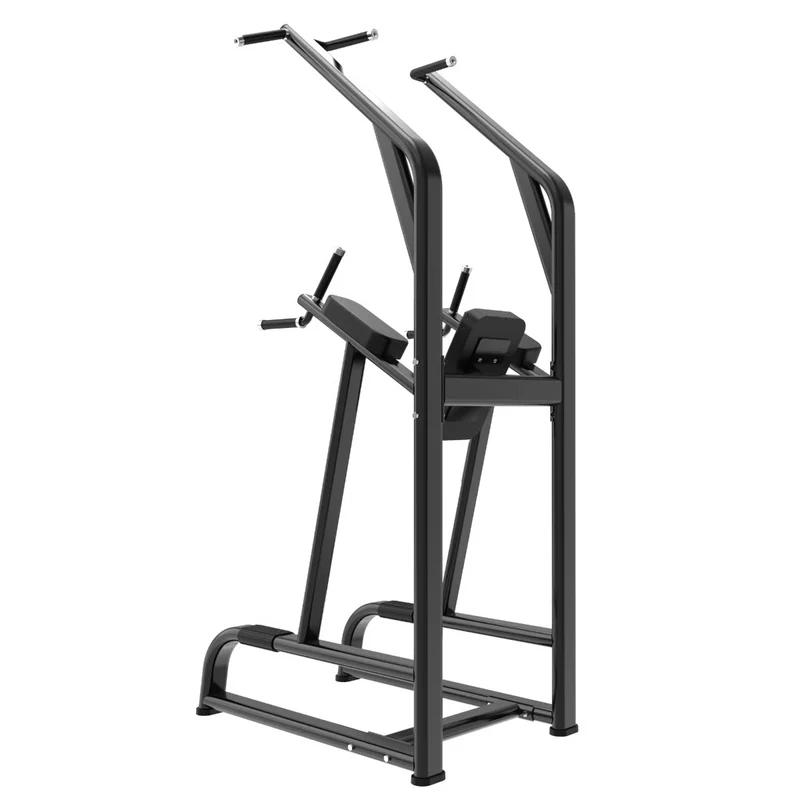 Titanium Strength Black Series Klimmzug und Dipstation BS-CDK1