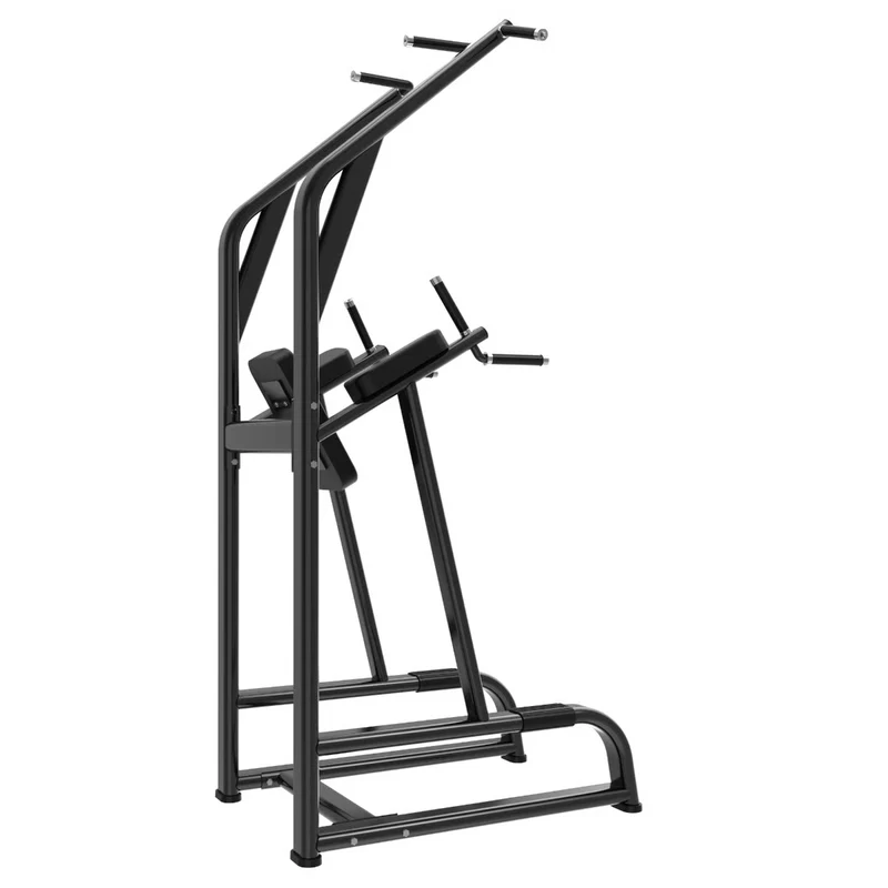 Titanium Strength Black Series Klimmzug und Dipstation BS-CDK1