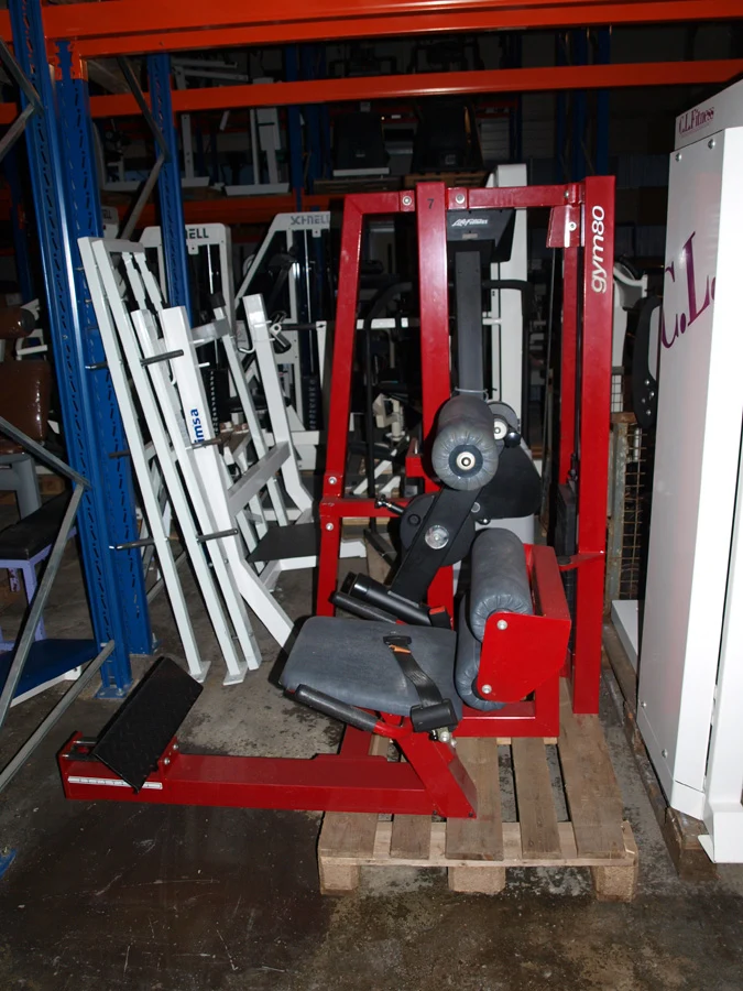 Gym 80 Rückenstreckermaschine, Lower Back, Hyperextension, gebraucht, rot