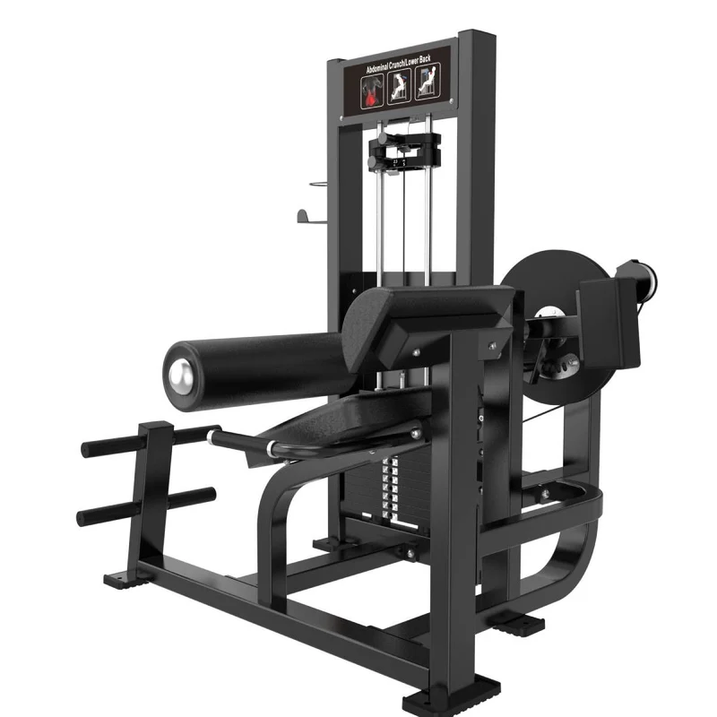 Titanium Strength Elite Series RX Bauch- und Rückenstreckmaschine (stack loaded) ELRX-S39