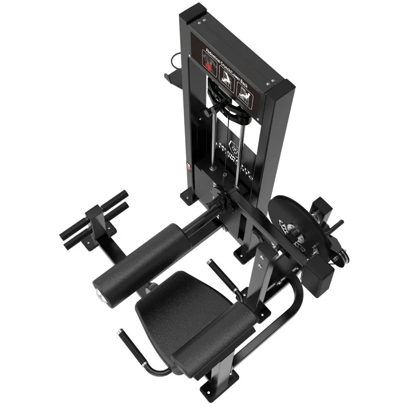 Titanium Strength Elite Series RX Bauch- und Rückenstreckmaschine (stack loaded) ELRX-S39