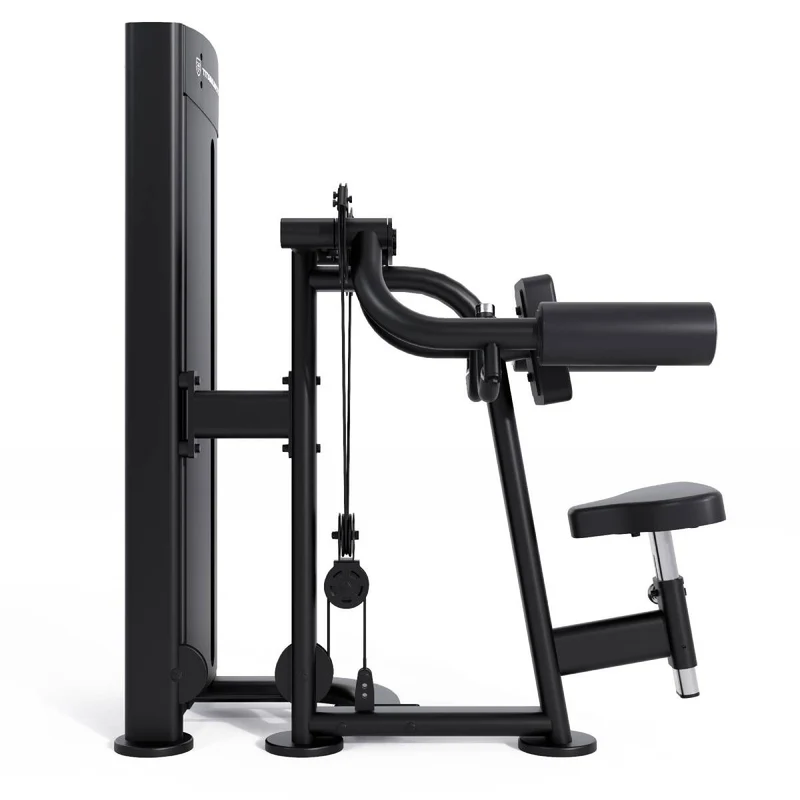 Titanium Strength Black Series Seitenheben (stack loaded) BS-S26